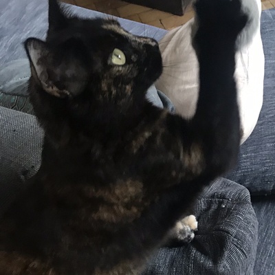 odile_e@donotban.com