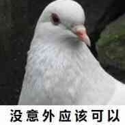 fengwu@wxw.moe
