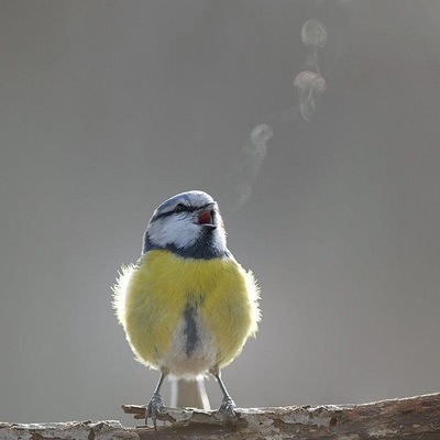 nosurprises@mastodon.online