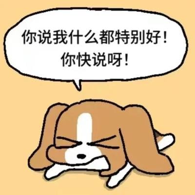 puppyplane@m.cmx.im