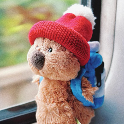 bearlifez@mstdn.social
