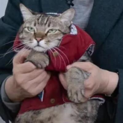 synchronicity@m.cmx.im