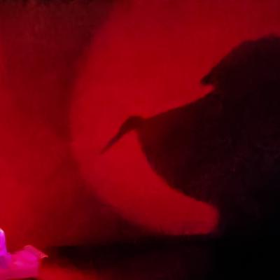 Wupuzhi@mastodon.social