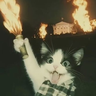 yyllno@m.cmx.im