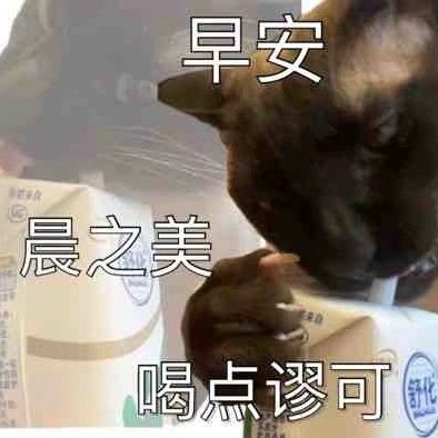 linglili@social.slat.org