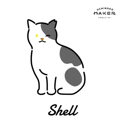 bbshell@utopia.cool