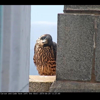 long_nighty@moresci.sale