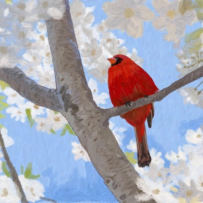 Satsumahana@mastodon.social