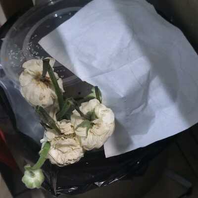 bearswimming@m.cmx.im