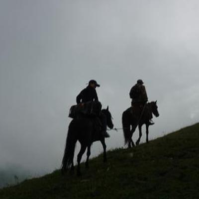 stxh@vivaldi.net