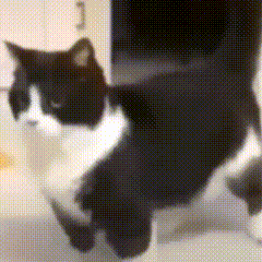 TOOTH_HURTY@veronaxxx.masto.host