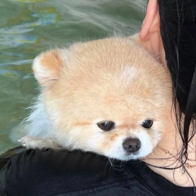 shiroujun@stelpolva.moe